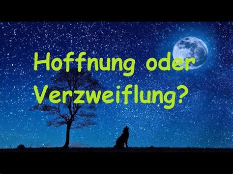  Die Geschichte vom Pássaro da Esperança: Eine Reise durch Hoffnung und Verzweiflung in den Wäldern Brasiliens!