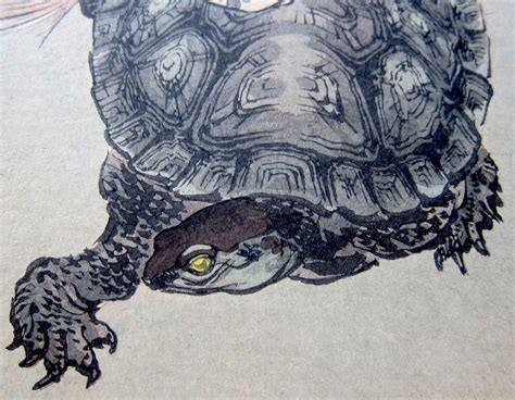  Der Fishermann und die Magische Schildkröte: Eine Reise in die japanischen Mythen des 4. Jahrhunderts!